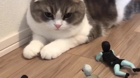 Who are these people?? 🤨😅 Love cats? Like & Share