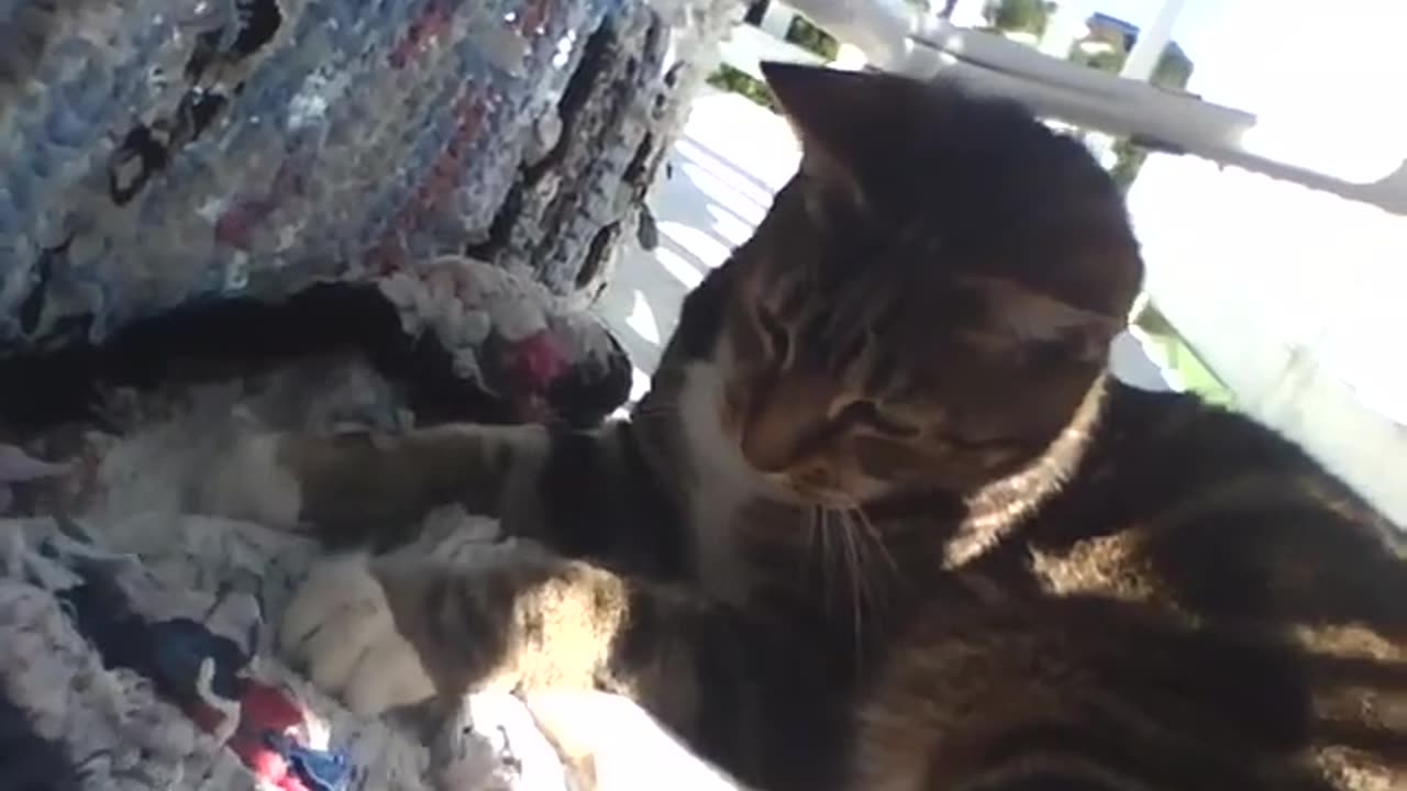 The film I put up to thank folks for praying for Laverne!