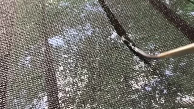 A very unique perspective