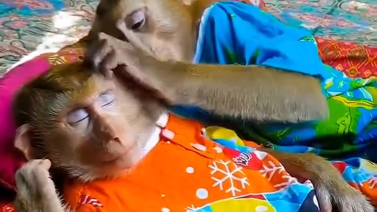 Teri meri dosti Hindi song