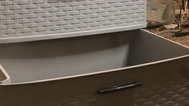 DIY HIDDEN LITTER BOX