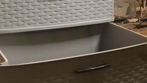 DIY HIDDEN LITTER BOX
