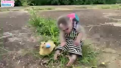 Little Monkey Having Fun With Other Animals #shorts #viral #shortsvideo #video