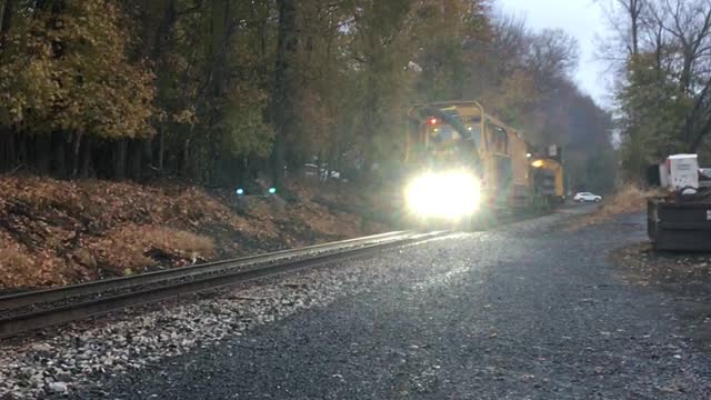 Deer Makes Close Call on Railway