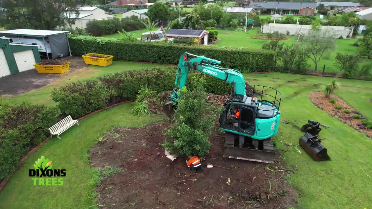 Tree Lopping: An Important Step in Tree Maintenance