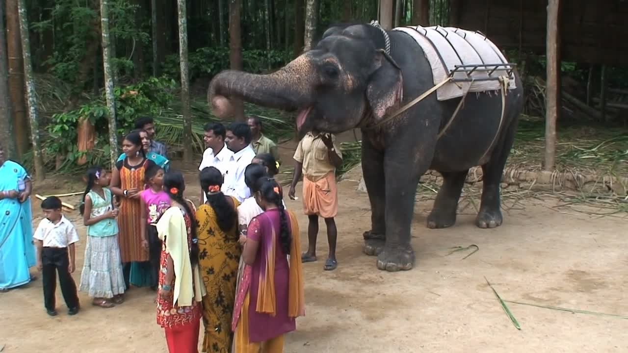 Elephant safari in Thekkady India