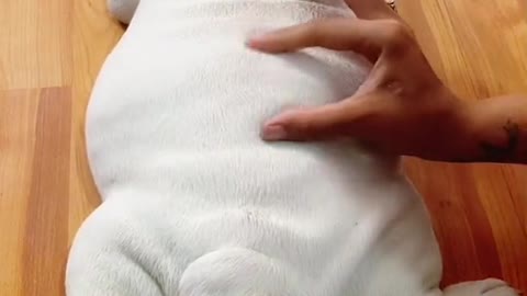 She didn't see that coming