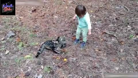 Cats love baby