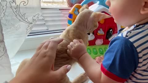 new born kid playing with toys with cat