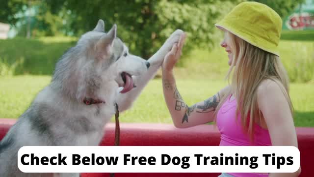 Best Dog Training E-Book FREE