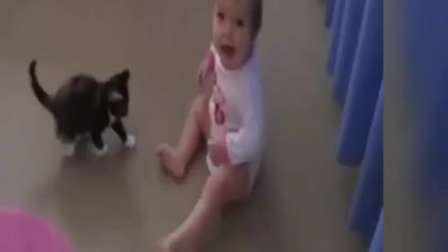 Little Baby Funny Playing with cat