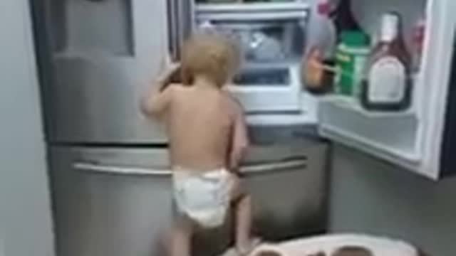 Dog Helping Child / Funny Videos , baby and his dog