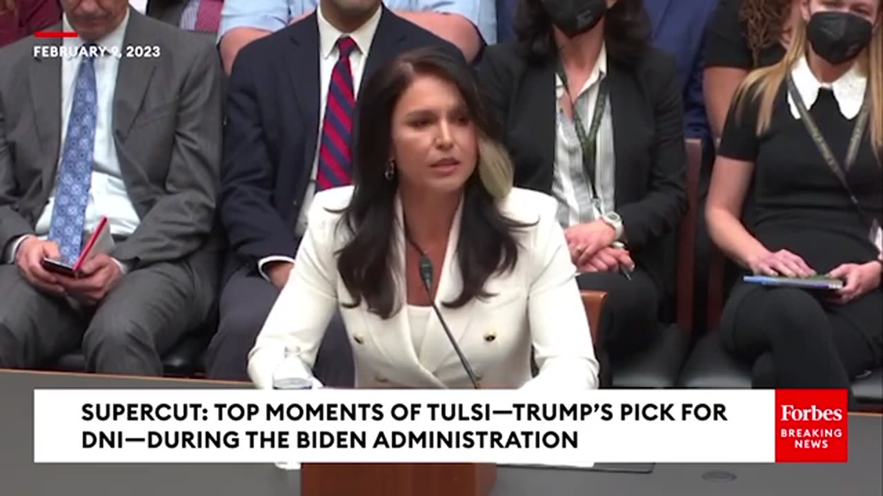 SUPERCUT: Key Moments Of Tulsi Gabbard—Trump's Choice For DNI—During The Biden Administration