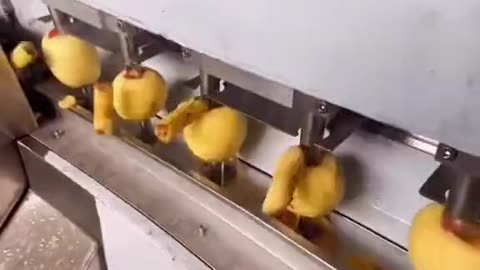 Apple slice in factories