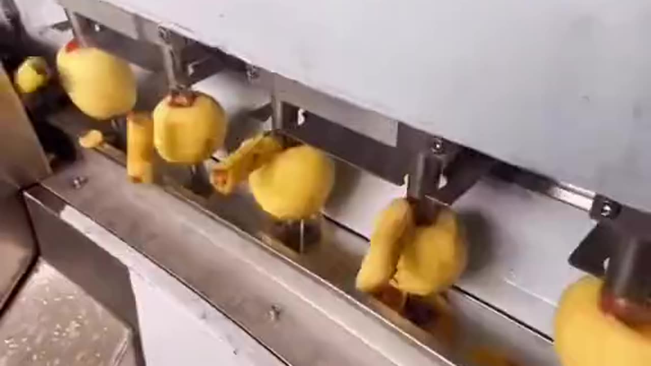 Apple slice in factories