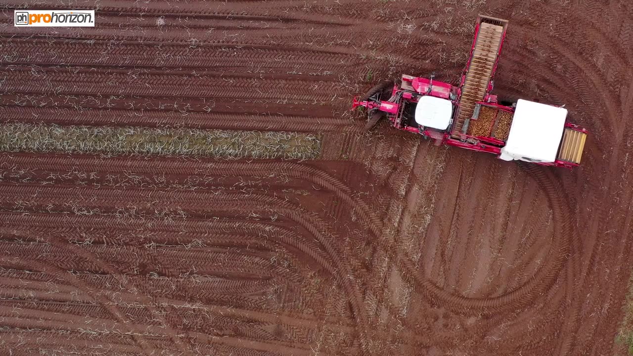 GRIMME 220 Varitron Harvesting Potatoes