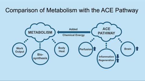 The Alternative Cellular Energy ACE Pathway