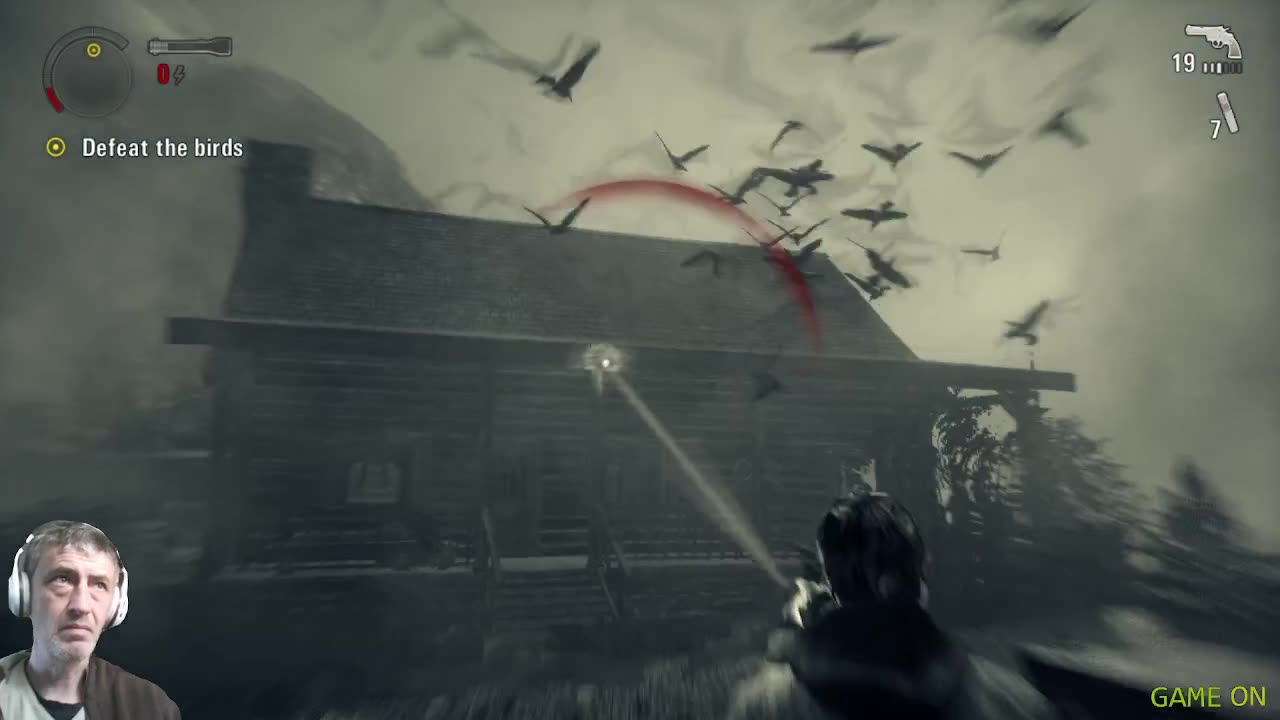 Alan Wake Bird Fight