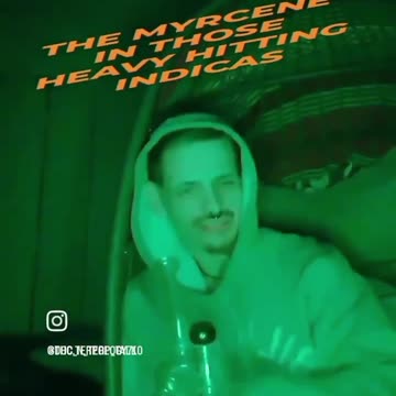 Indica Vs Sativa - Couch Lock or Freak tf out