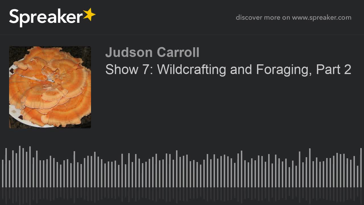 Show 7: Wildcrafting and Foraging, Part 2... part 2