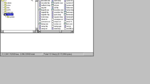 Windows 3.1