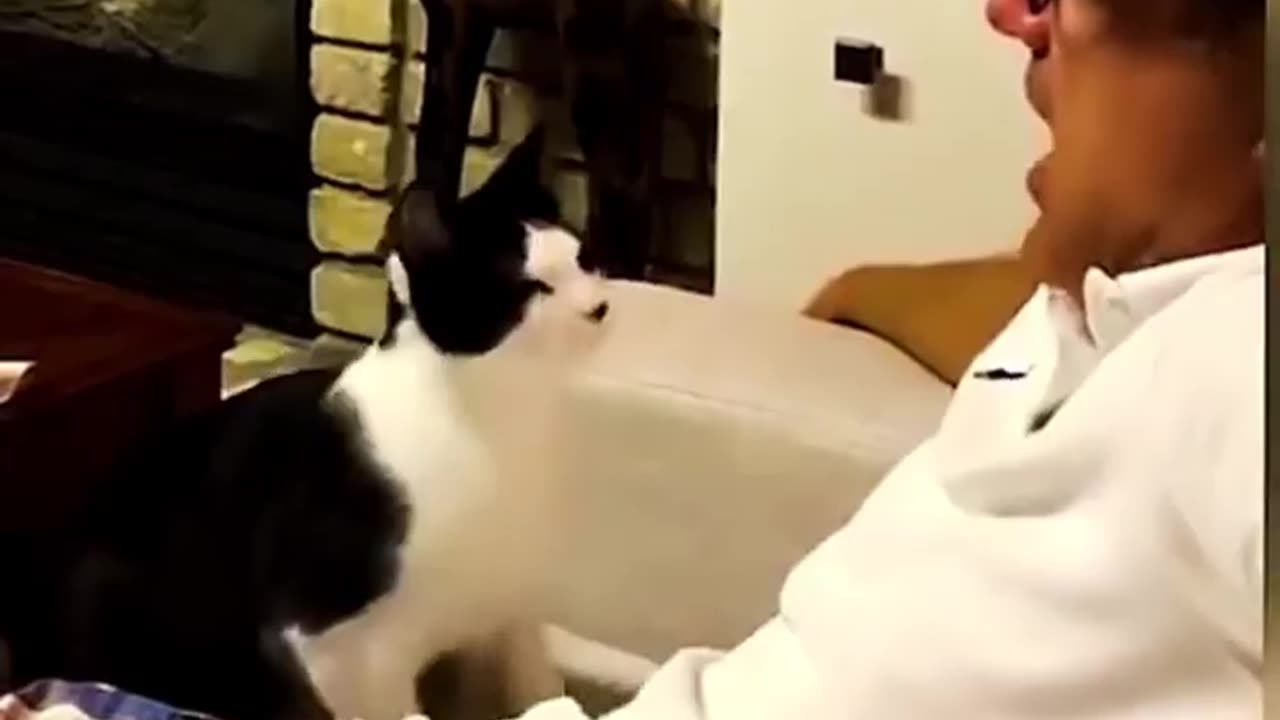funny animal videos, ||😂 funny video || funny animals,