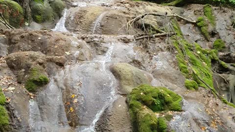 At the top of Beusnita waterfall