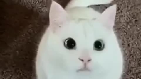 Perfect tracking