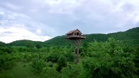How To Build House On The Tree 12m And Swimming Pool