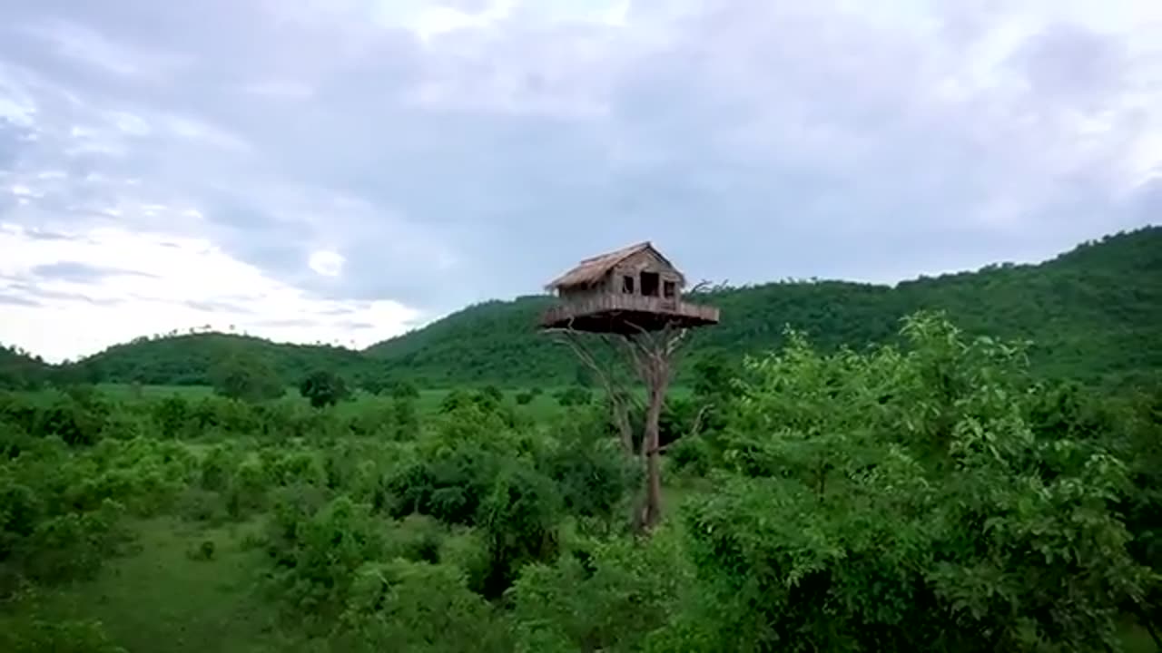 How To Build House On The Tree 12m And Swimming Pool