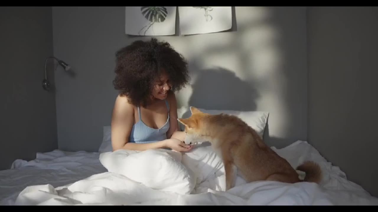 CuteAnimals, PlayfulKittens