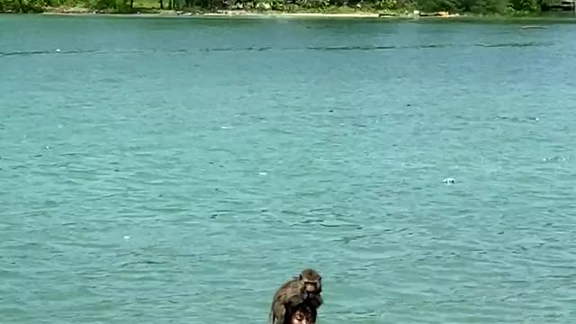 Monkey and women playing on the lake.