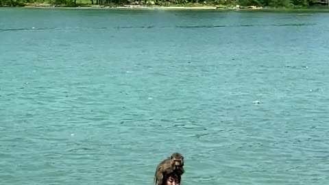 Monkey and women playing on the lake.