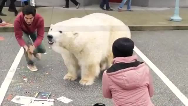 Increíble pintura de oso polar en 3D