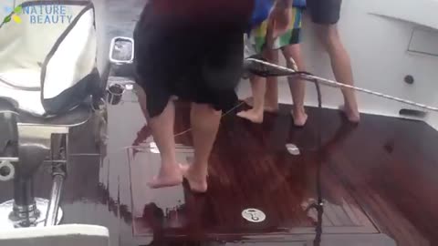 Big Giant fish Catching with camera amazing