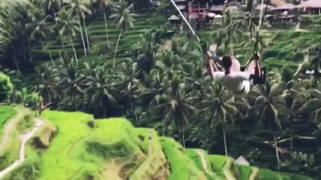 Exciting attraction at Bali