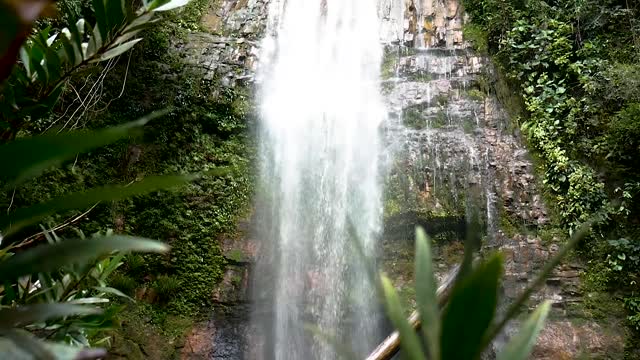 Waterfall in the Forest