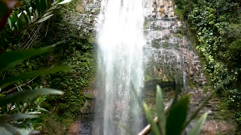 Waterfall in the Forest