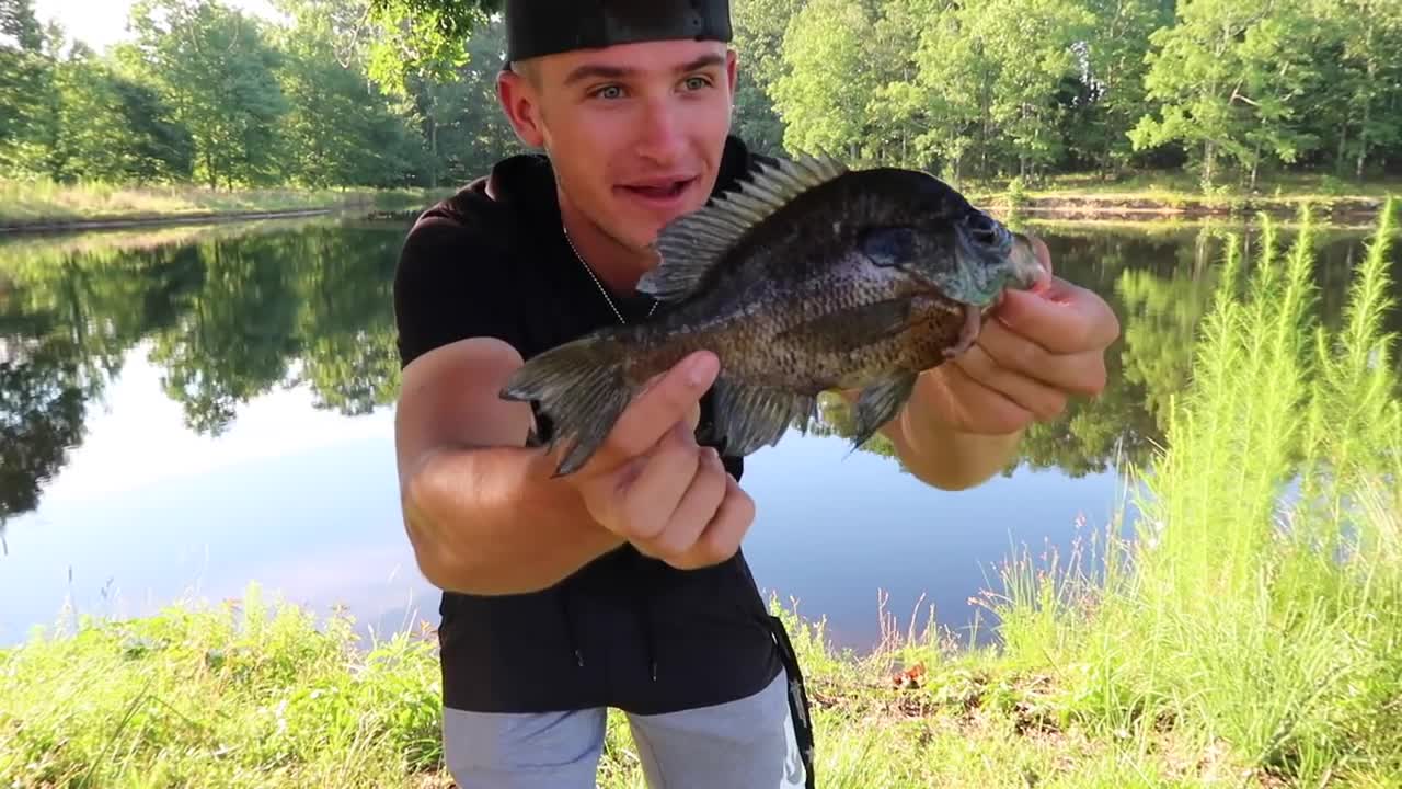 Fishing With GIANT Live bait WORMS (WALMART