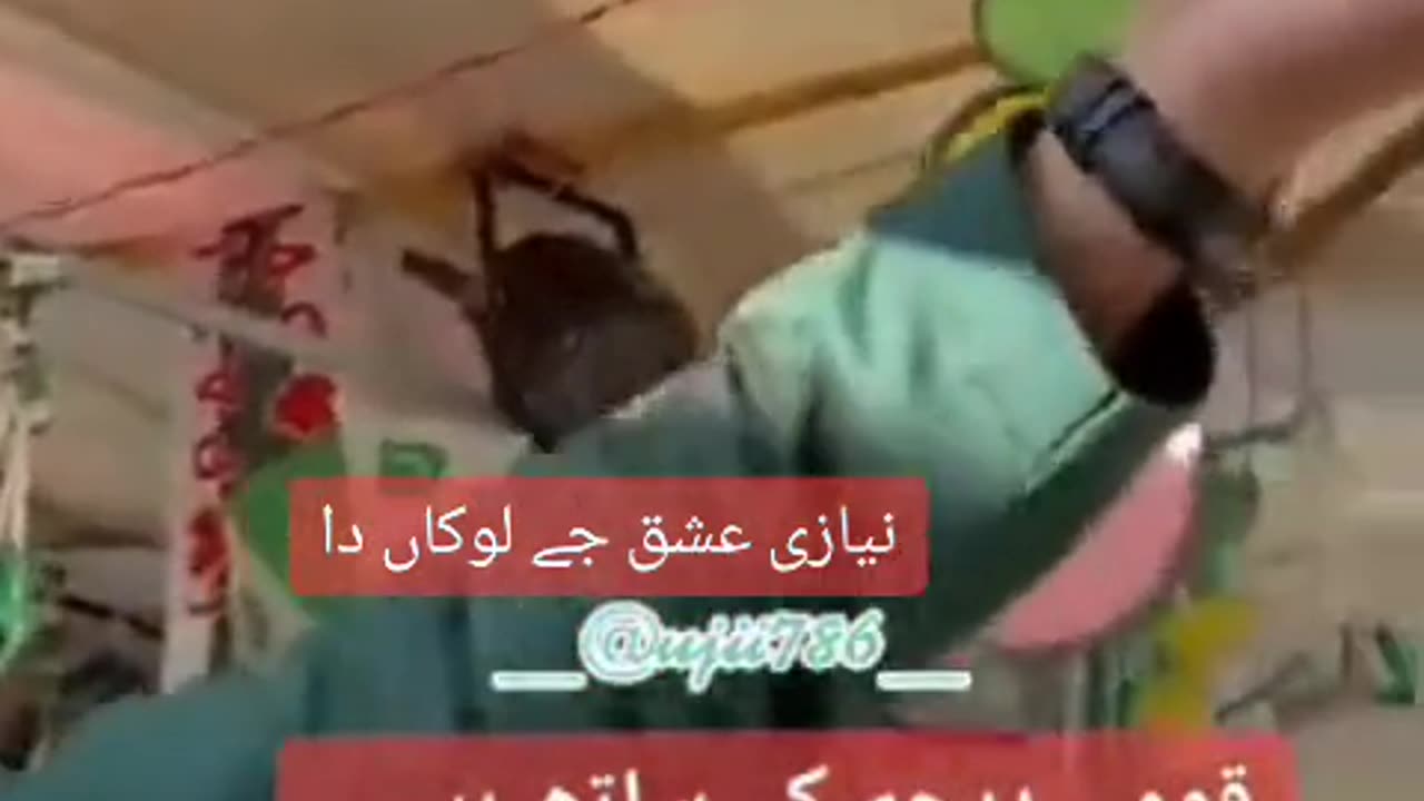 14 august with pti