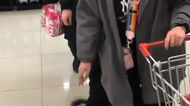 funny videos