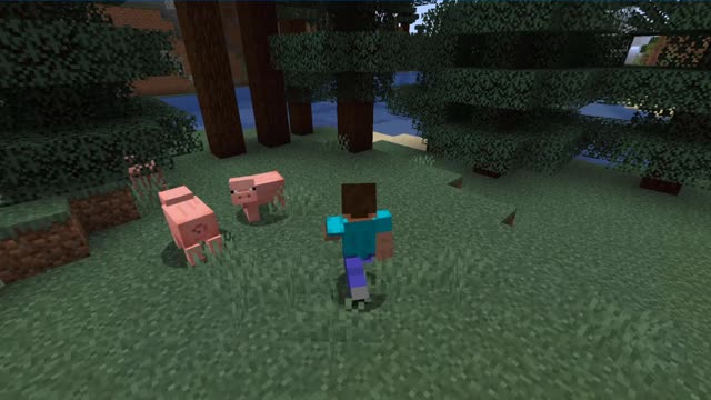 Minecraft 1.17.1_Shorts Modded 2nd time_Outting_62