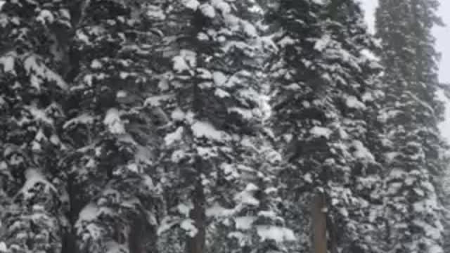 Skiing in a snow storm!