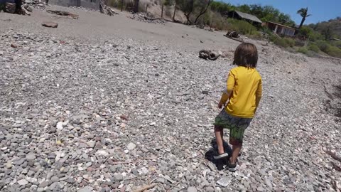 asmr collecting shells on a virgin island