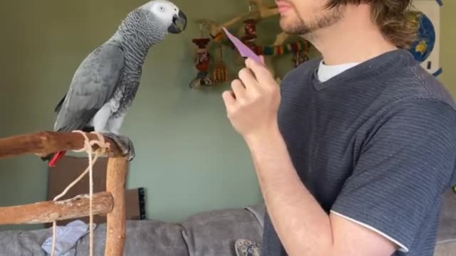 Working on going between paper and purple