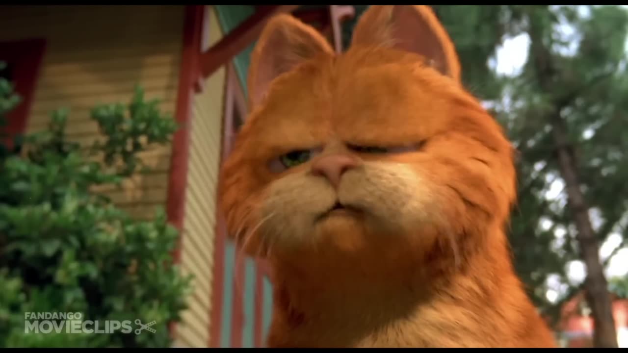 Garfield in punjabi hilarious movie