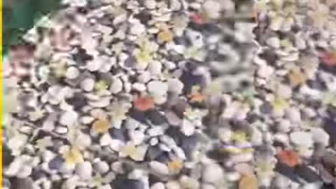 Falling Off Every Second