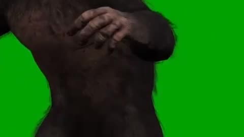 Chimpanzee Animals Cartoon Videos For Kids