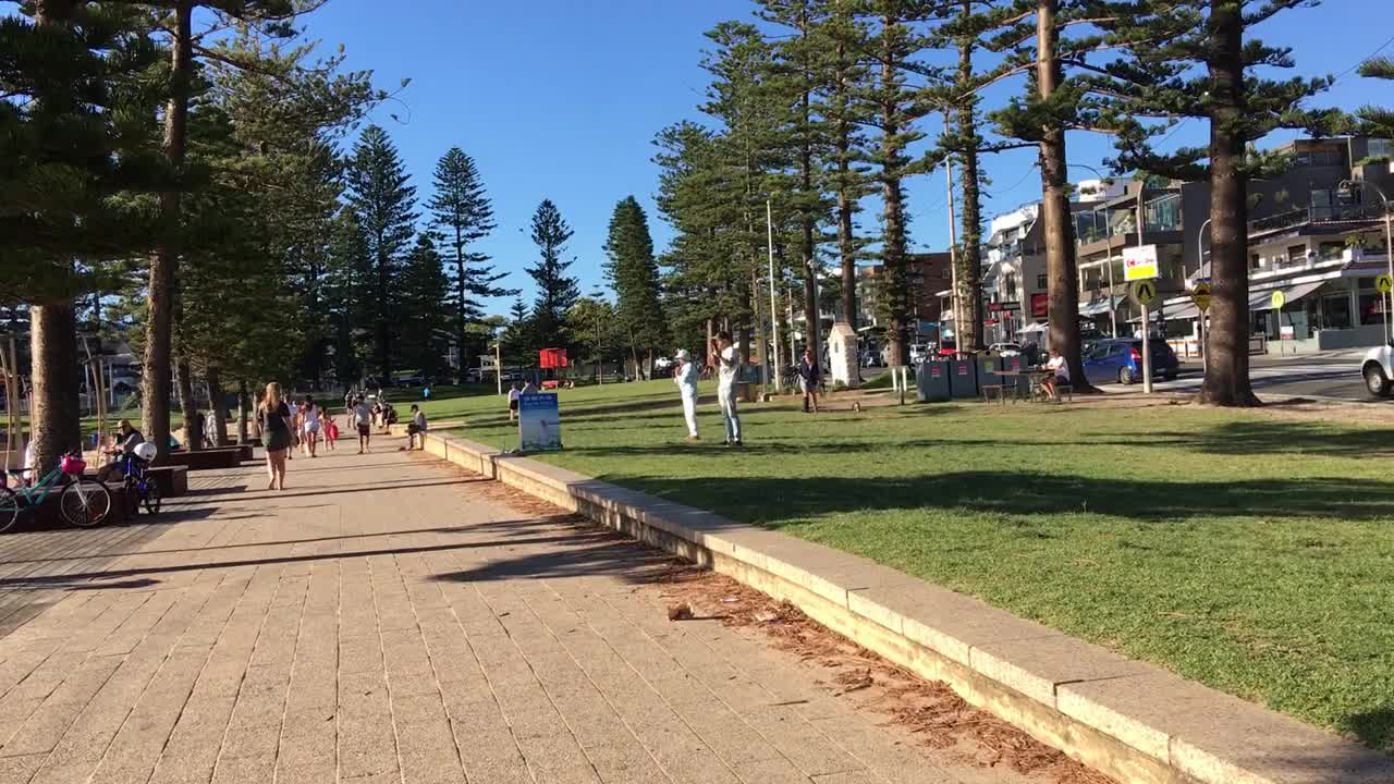 Dee Why Falun Gong Meditation Site