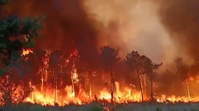 Raging Wildfires Ravage France As Hundreds Evacuated